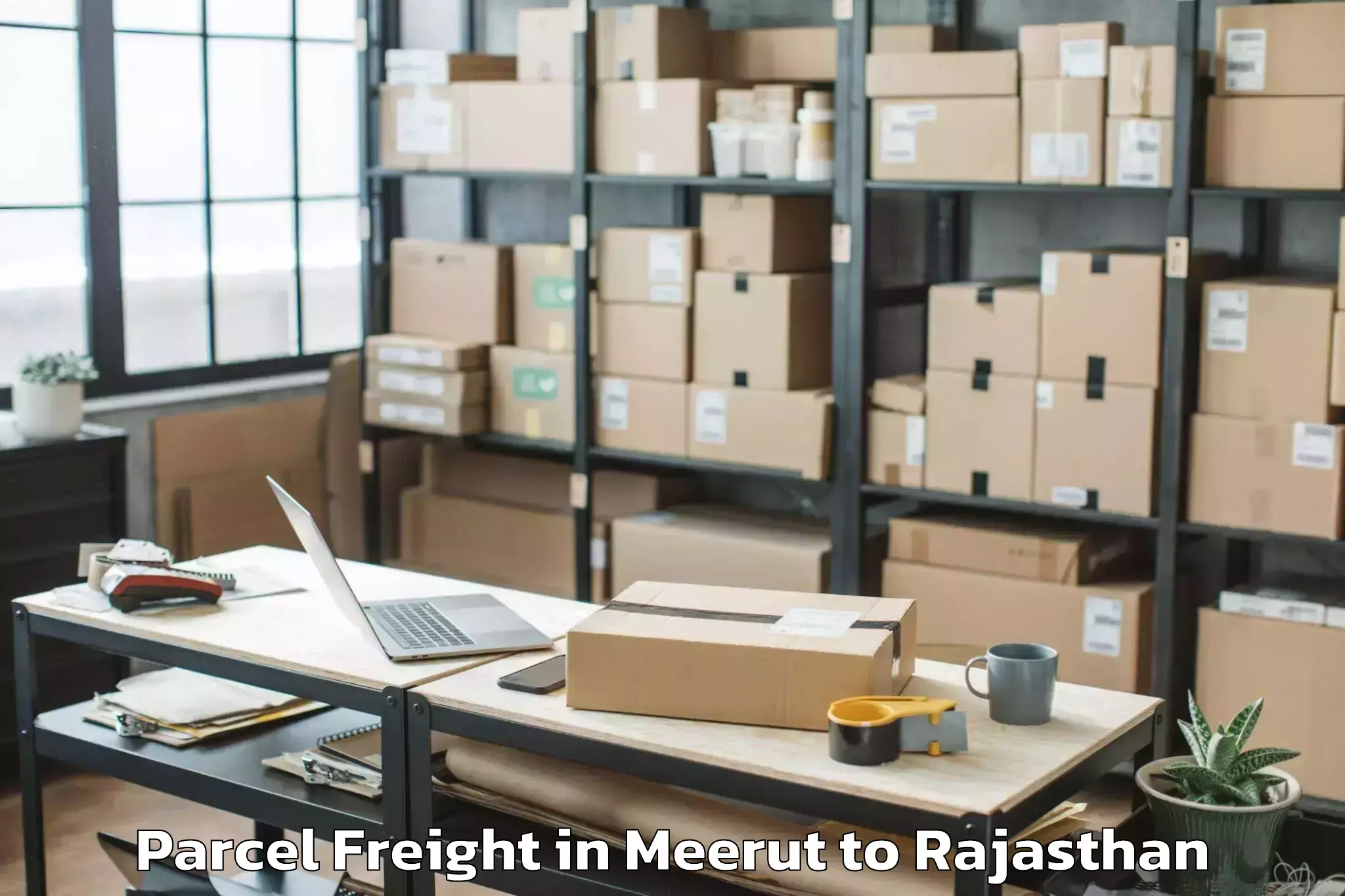 Expert Meerut to Rajasthan University Of Health Parcel Freight